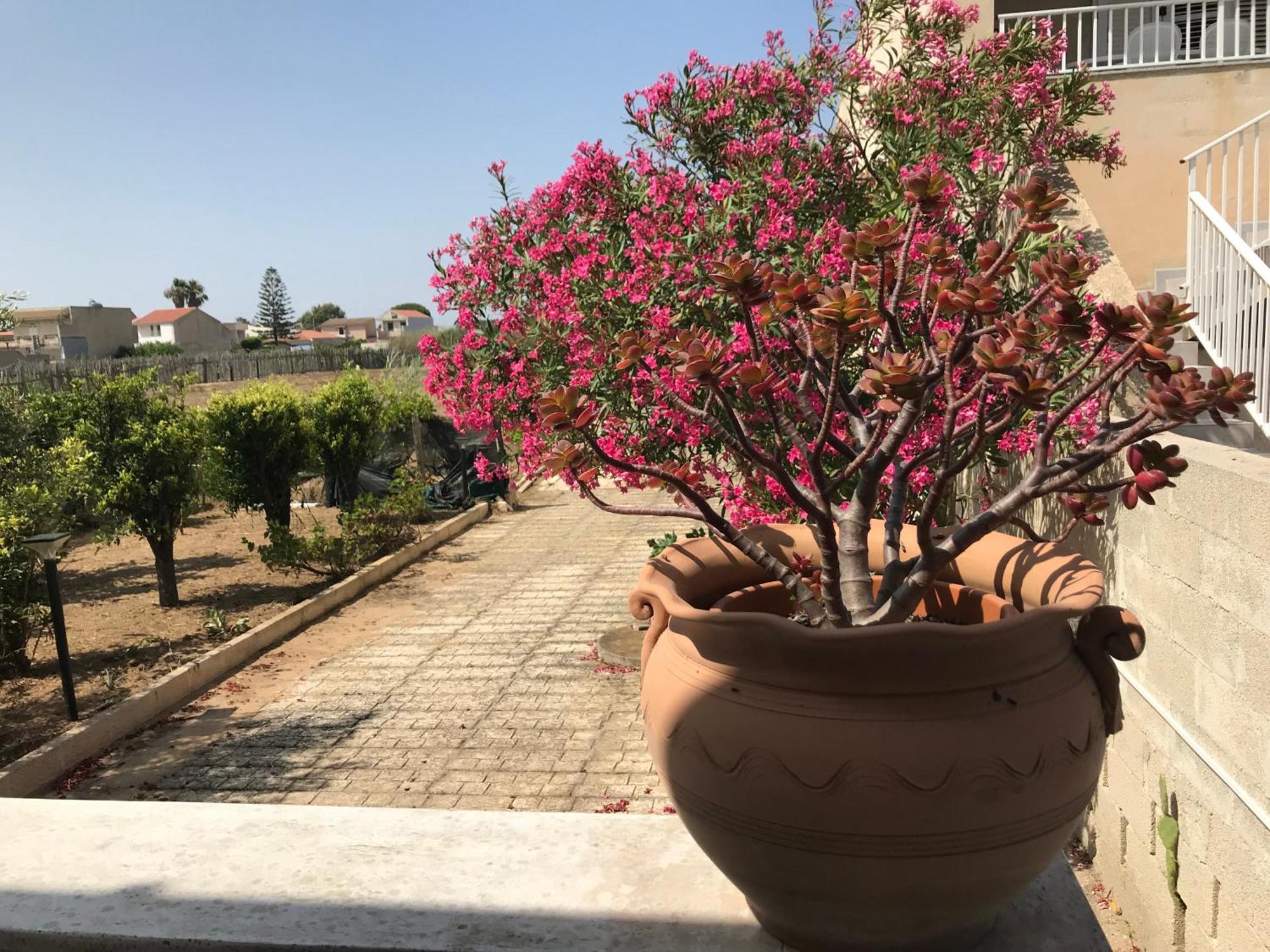 Villino Oleandro Villa Санта Мария дел Фокало Екстериор снимка